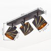 Alsen plafonnier orientable 3 spots, luminaire de plafond pour salon