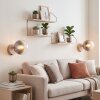 Applique murale moderne Gastor, lot de 2, abat-jour sphérique en verre fumé clair, E14