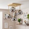 Plafonnier moderne Chehalis à 5 lumières en grappe, avec abat-jour en verre fumé et clair