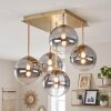 Plafonnier moderne Chehalis à 5 lumières en grappe, avec abat-jour en verre fumé et clair