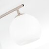 Plafonnier moderne Koyoto à 4 lumières avec barre courbée et abat-jour ronds