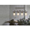 NOWA Venezia suspension feuillage 4 lumières E14 réglable, longueur 72 cm