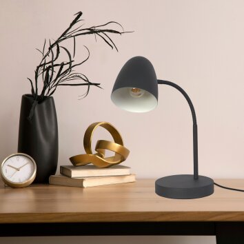 NOWA Jason lampe de bureau E14, design moderne, lampe de lecture de table