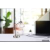 NOWA Daytona lampe de bureau E14 430 lm 3000 K avec interrupteur, Ø 20 cm, hauteur 30 cm