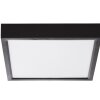 NOWA Puccy plafonnier LED carré moderne ultra-plat pour cuisine 3000 K 1500 lm 15 W