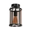 Steinhauer Pimpernel suspension lanterne à cage classique rétro E27 16 cm