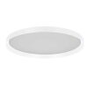 Steinhauer Flady plafonnier LED rond moderne 2 sources lumineuses 40W 2700K 4600 lm