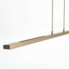 Steinhauer Suspension Zelena, température de couleur réglable 2200-4000 Kelvin, réglable en hauteur