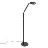 Steinhauer Ringlux lampadaire LED liseuse sur pied réglable à tête orientable