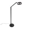 Steinhauer Ringlux lampadaire LED liseuse sur pied réglable à tête orientable