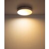 Globo Jess plafonnier LED rond moderne à télécommande 39 cm, 4600 lm, 1800-12000 K, 50 W