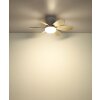 Globo Delores ventilateur de plafond LED avec lumière, télécommande, 5 pales