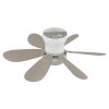 Globo Delores ventilateur de plafond LED avec lumière, télécommande, 5 pales