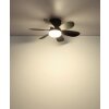 Globo Delores ventilateur de plafond LED avec éclairage, 2700-6500 Kelvin, 560 Lumen, 5 Watt