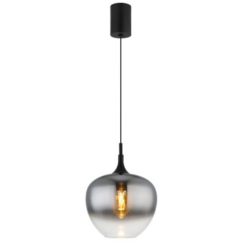Globo Maxy suspension moderne E27 60 W, réglable, Ø 29 cm, pour salle à manger