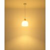 Globo Swanson luminaire suspendu design moderne, suspension pour salle à manger, E27 40 W