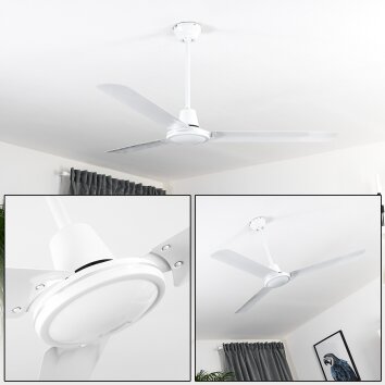 Ventilateur de plafond Nerja Blanc