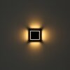 Globo AKRON applique murale solaire LED extérieure carrée moderne pour allée