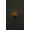 Globo ROSALI lampe solaire de jardin à piquer LED tulipe décorative d'extérieur