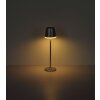 Globo VANNIESO lampe solaire LED de table pour allée 3000 Kelvin 50 Lumen 6 Watt