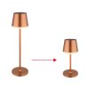 Globo VANNIESO lampe solaire de table d'extérieur LED abat-jour conique 10-flammes