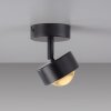 SCHÖNER WOHNEN-Kollektion KULU plafonnier LED moderne à 2 spots 3000 K 450 lm 4,8 W