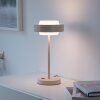 SCHÖNER WOHNEN-Kollektion ELMO lampe de table LED à interrupteur tactile