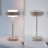 SCHÖNER WOHNEN-Kollektion ELMO lampe de table LED à interrupteur tactile