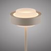 SCHÖNER WOHNEN-Kollektion ELMO lampe de table LED à interrupteur tactile