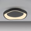 Schöner Wohnen-Kollektion MONTA plafonnier LED design organique 21 W 3000 K 2870 lm