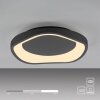 Schöner Wohnen-Kollektion MONTA plafonnier LED design organique 21 W 3000 K 2870 lm