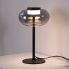 SCHÖNER WOHNEN-Kollektion SIA lampe de table LED à globe ovale design moderne