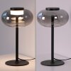 SCHÖNER WOHNEN-Kollektion SIA lampe de table LED à globe ovale design moderne
