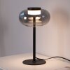 SCHÖNER WOHNEN-Kollektion SIA lampe de table LED à globe ovale design moderne