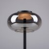 SCHÖNER WOHNEN-Kollektion SIA lampe de table LED à globe ovale design moderne