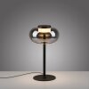 SCHÖNER WOHNEN-Kollektion SIA lampe de table LED à globe ovale design moderne