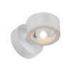 SCHÖNER WOHNEN-Kollektion CHIA applique murale LED globe, 2 flammes, 3000 K, 220 lm, 2 W