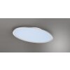 Trio Leuchten Plafonnier LED ovale plat moderne en titane, 6500 Kelvin blanc lumière du jour