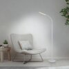 Paul Neuhaus lampadaire liseuse réglable LED ELLY, blanc chaud réglable 3000 Kelvin