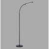 Paul Neuhaus lampadaire LED ELLY, bras arqué réglable, blanc réglable 2700-5000 Kelvin
