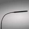 Paul Neuhaus lampadaire LED ELLY, bras arqué réglable, blanc réglable 2700-5000 Kelvin