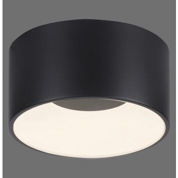 Leuchten Direkt Plafonnier cylindrique LED TANIKA avec mémoire, 3000 Kelvin blanc chaud