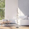 Leuchten Direkt lampadaire Emanda moderne à spirale dorée, LED 3000 Kelvin blanc chaud