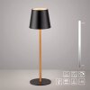 Leuchten Direkt Lampe à poser LED EURIA, 3000 Kelvin blanc chaud, IP54, abat-jour noir