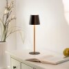 Leuchten Direkt Lampe à poser LED EURIA, 3000 Kelvin blanc chaud, IP54, abat-jour noir