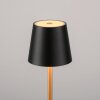 Leuchten Direkt Lampe à poser LED EURIA, 3000 Kelvin blanc chaud, IP54, abat-jour noir