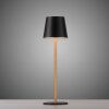 Leuchten Direkt Lampe à poser LED EURIA, 3000 Kelvin blanc chaud, IP54, abat-jour noir