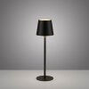 Leuchten Direkt Lampe à poser BOTERIA, tête conique inclinable, mémoire, LED 3000 Kelvin