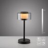 Paul Neuhaus, lampe à poser LED RIKA à variateur tactile avec mémoire, design moderne