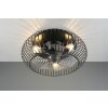 Reality Ventilateur de plafond lumineux Johanna à cage métallique avec télécommande